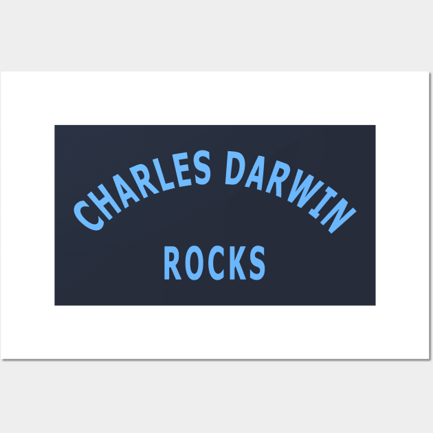 Charles Darwin Rocks Wall Art by Lyvershop